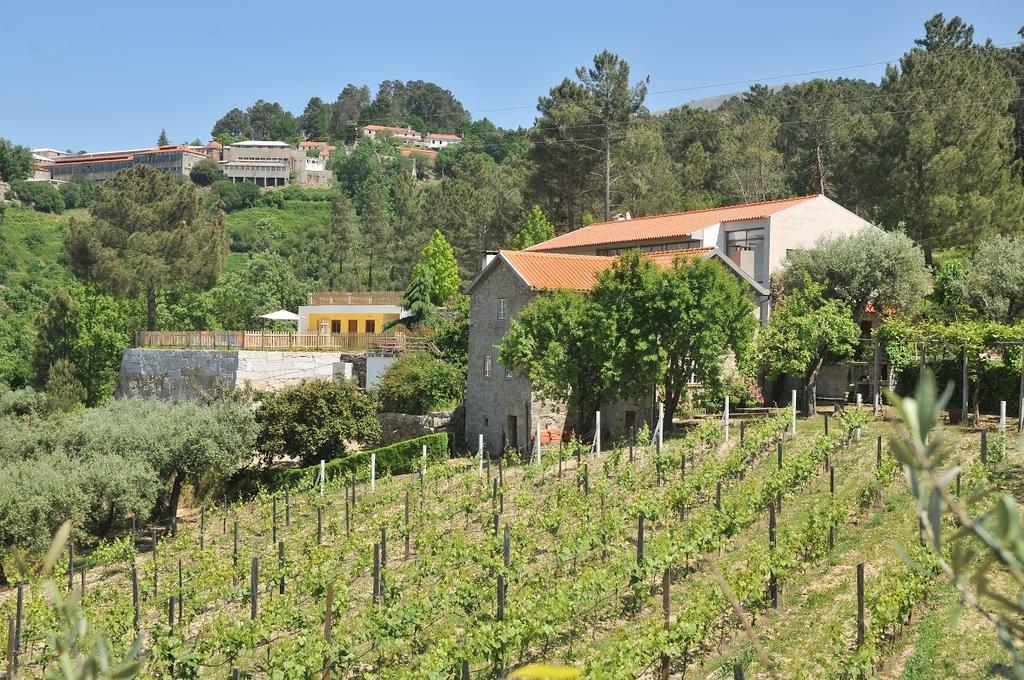 セイア Quinta Do Vale Sanguinhoヴィラ エクステリア 写真